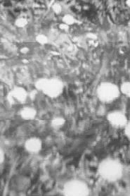 Parking Lot Attendant movie poster