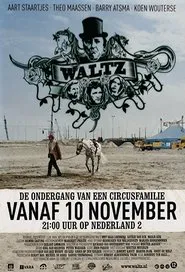 Waltz tv show poster