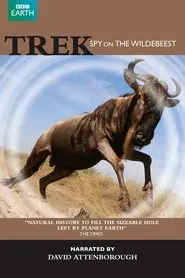 Poster do filme Trek - Spy on the Wildebeest