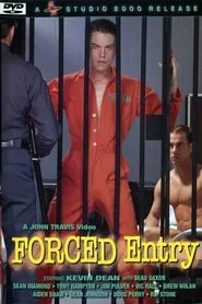 Poster do filme Forced Entry