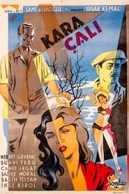 Kara Çalı movie poster