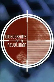 Videograms of a Revolution movie poster