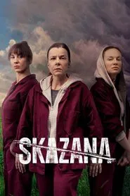 The Convict tv show poster
