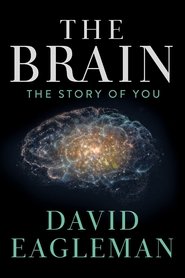 The Brain with David Eagleman tv show poster