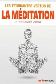 Les étonnantes vertus de la méditation movie poster