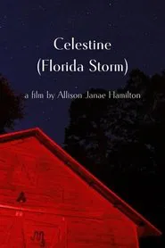Celestine (Florida Storm) movie poster