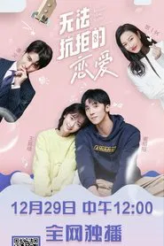 Irresistible Love tv show poster