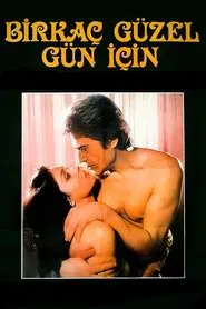 Poster do filme Birkaç Güzel Gün İçin