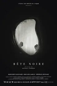 Poster do filme Bête noire