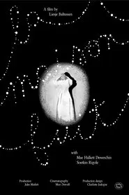 The House Leaks movie poster