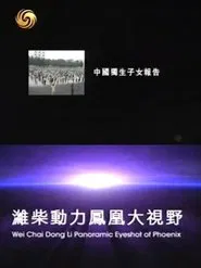 凤凰大视野：中国独生子女报告 tv show poster
