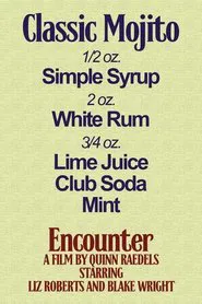 Encounter movie poster