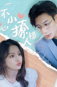 一不小心撩错人 tv show poster