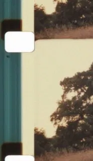 Poster do filme Light, Blaze, Fulgor - Auguries for a Non-Hierarchical Framing and Flourishing