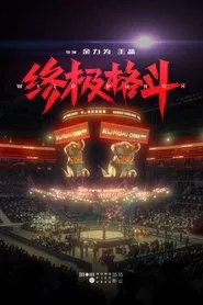 Poster do filme Wild Punch