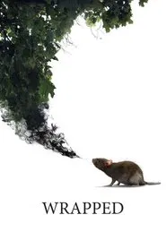 Wrapped movie poster