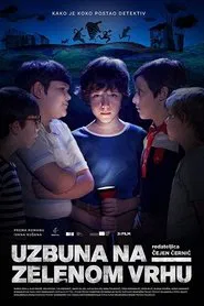 The Mystery of Green Hill movie poster
