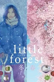 Little Forest: Winter/Spring movie poster