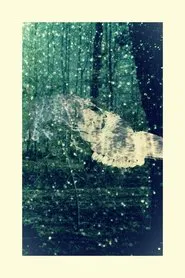 Falling Star movie poster