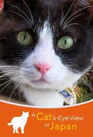 A Cat's-Eye View of Japan tv show poster