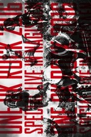 ONE OK ROCK 2016 SPECIAL LIVE IN NAGISAEN movie poster