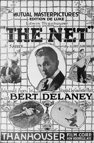 The Net movie poster