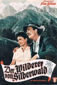 Der Wilderer vom Silberwald movie poster