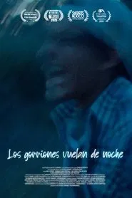 Los gorriones vuelan de noche movie poster