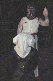 R29k.avi movie poster