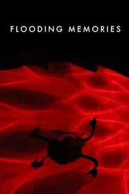 Flooding Memories movie poster