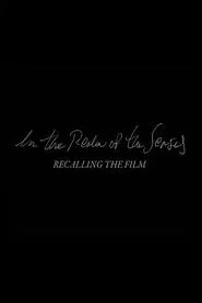 In the Realm of the Senses: Recalling the Film movie poster