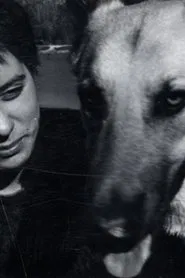 Crowdog movie poster