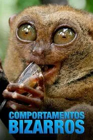 Poster da série Comportamentos Bizarros