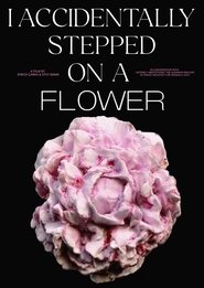 Aksidentalisht shkela një lule movie poster