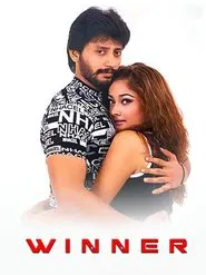 Poster do filme Winner