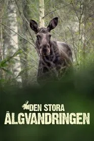 Den stora älgvandringen tv show poster