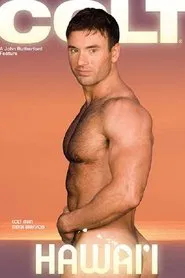 Hawai'i movie poster