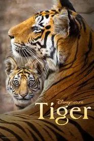 Tiger movie poster