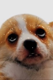 puparazzi movie poster