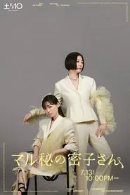 Secret Makeover tv show poster