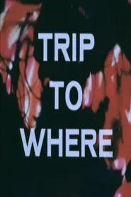 LSD: Trip to Where? movie poster
