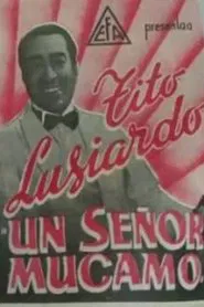 Un señor mucamo movie poster