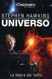 Stephen Hawking and The Theory of Everything movie poster