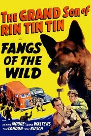 Fangs of the Wild movie poster