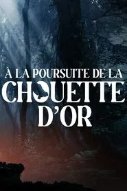 A la poursuite de la chouette d'or movie poster