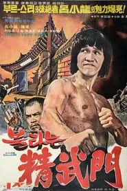 Bruce and Shaolin Kung Fu part 2 movie poster