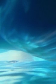 How Much Air Lungs Can Hold movie poster