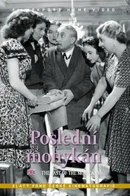 Poslední mohykán movie poster