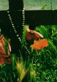 The Cradle movie poster