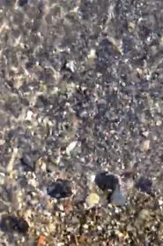 Fading Shade vol.1,2 movie poster